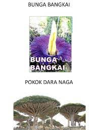 Jumlah tumbuhan yang pupus lebih besar berbanding kepupusan burung, mamalia dan amfibia. Tumbuhan Yang Telah Pupus