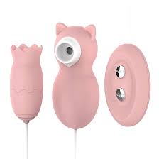 彼女を絶頂に誘う 口唇愛の秘密AV