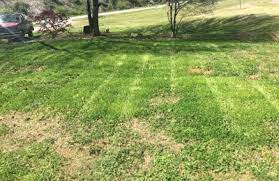 Our goal is to provide you with a landscape that will. Williams Lawn Care 359 Harrison Rd Cartersville Ga 30120 Yp Com