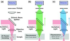 2020 popular 1 trends in lights & lighting, security & protection, home & garden, consumer electronics with wireless detector wall lamp and 1. Intravital Microscopy For Thz Bio Analysis Springerlink