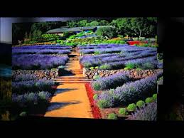 We did not find results for: Matanzas Creek Winery Youtube