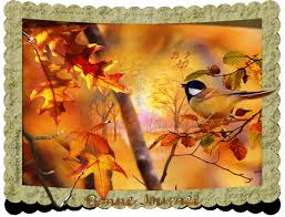 Résultat de recherche d'images pour "gif novembre"