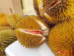 Cùng với sầu riêng, địa danh cái mơn còn nổi tiếng với măng cụt, được nhắc đến qua câu ca: Quáº£ Cá»±c Ä'áº¯t NhÆ°ng Cay Giá»'ng Sáº§u Rieng Ruá»™t Ä'á» Con Ä'áº¯t Gáº¥p 2 Láº§n