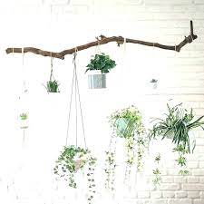 Image Result For Unique Indoor Hanging Basket Indoor Hanging Baskets Hanging Plants Indoor Indoor Plant Wall