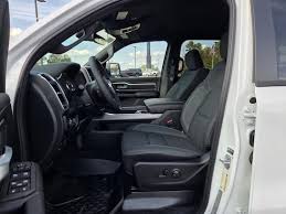 Image result for Power Tan 2020 Ram