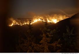 En climas cálidos y secos hay más probabilidades de. Chile Feuer Vernichtet Rund 4 200 Hektar Wald Blickpunkt Lateinamerika