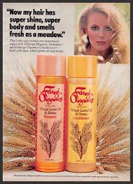 Image result for Honey Gold 1979 Motor Home