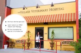 He became a practicing veterinarian in 1971 when he built and operated his first clinic in missouri. Village Pet Hospital Off 62 Www Usushimd Com