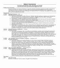 Happy with your account manager job description? Advertising Account Director Resume Example Livecareer