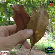 We did not find results for: Daun Cengkeh Kering 1kg Murah Obat Herbal Jsr Shopee Indonesia