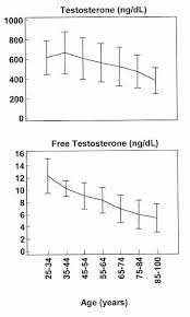 All About Testosterone What You Need To Know About The King