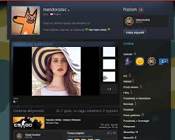 Unlike the normal artwork showcase, this showcase allows you to display a single large image. Steam Profile Picture Size Love Meme