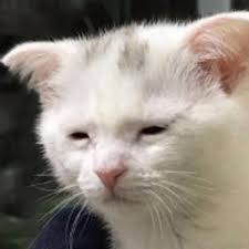 Old Time Radio Westerns (Podcast)