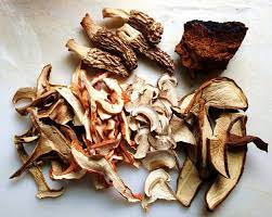 How to dry mushrooms in the sun. Dried Mushrooms Google Search Stuffed Mushrooms Dried Mushrooms Wild Mushrooms