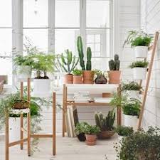 Indoor Gardening Range By Ikea Elle Decoration Uk Ikea Plants Ikea Plant Stand Hanging Plants Indoor