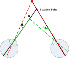 Image result for Visual Fixation