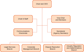 New Organizational Structure Of Home Care Agency