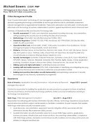 risk management resume samples