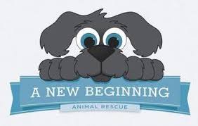 And 10 years of operating at our wantagh adoption center. Pin On Animals