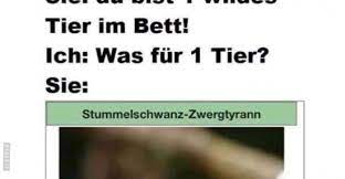 Der mensch muss gerade so viel selbstvertrauen haben, dass er abenteuer erlebt, und gerade so viel an sich zweifeln, dass er sie genießt. Sie Du Bist 1 Wildes Tier Im Bett Lustige Bilder Spruche Witze Echt Lustig