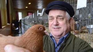 625 Tiere bei Rassegeflügelschau in Reudnitz ausgestellt