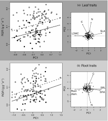 The nearest previous perfect square is 121 and the nearest next perfect square is 144. C4 Photosynthesis And The Economic Spectra Of Leaf And Root Traits Independently Influence Growth Rates In Grasses Simpson 2020 Journal Of Ecology Wiley Online Library