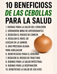🧅 Guía fácil: 10 Beneficios de la cebolla para la salud (¡y algunos  cuidados!) ✓ 1. Rica en nutrientes esenciales Pobre en calorías, rica en  vitamina C, B6, folatos, fibra y potasio.