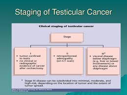 Ramdev konijeti discusses commonly asked questions. Pictorial Lesson In Genito Urinary Cancers Ppt Download