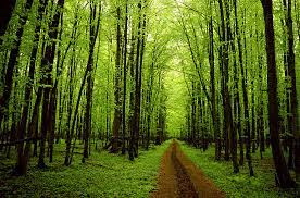 Cutting hand magic trick !! Dfghdfgh Cf Portfolio Site