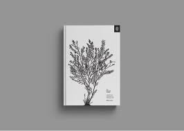 Maybe you would like to learn more about one of these? Stripe Press Ideas For Progress