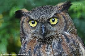 We did not find results for: Free Online Puzzles Nature And Animal Jigsaw Puzzle Games