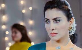 Image result for laila wasti
