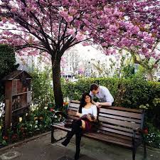 Couple Reading In Spring In 2020 Outdoor Couples Park Bench