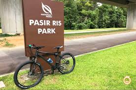 It starts from the tampines expressway and ends at a pier. Pcn Cycle From Sengkang Punggol To Marina Bay Sands To Gardens By The Bay To East Coast To Changi Sengkang To Punggol By Real Estate Property Agent S K Yeo Era