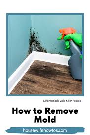 What, it's time to declare war; How To Remove Mold From Walls For Good Housewife How Tos