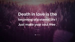 Arash Quote Death In Love Is The Beginning Of A Eternal Life Just Make Your Soul