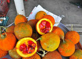 Image result for Momordica repens