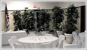 Plant Rentals Rent Plants Tree Rental Wedding Decorations Events Wedding Plants Wedding Decorations Trees To Plant