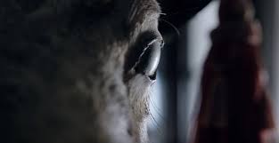 For example, in an old western, you see a shot only of the cowboy's eyes during a standoff! Extreme Close Up Shots Creative Examples That Work
