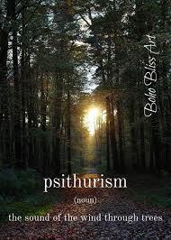 Psithurism The Sound Of The Wind Through Trees Nature Definition Wall Art Gift For Nature Lover In 2020 Nature Quotes Uncommon Words Nature Lover