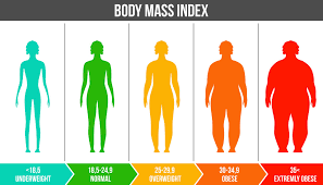 Body mass index (bmi) is a value derived from the mass (weight) and height of a person. Bmi Online Berechnen Vestehen Und Auswerten Modusx De