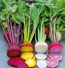 Burpee S Golden Jaune Albina Vereduna Blanc Tonda Di Chioggia Rouge Cercle De Blanc Et Detroit 2 Rouge Fonce Ogrodek Do Schrupania Owoce Burak