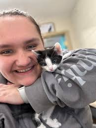 MISSING OLDER HOUND, PLEASE KEEP AN EYE OUT! LAST SEEN NEAR ROUTE 411 AND  COUNTRY PATH RD His name is Singer, he is a bit of a shy boy so if you