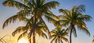 Winter (december through february) weather is too cold this time of year in gulf shores to be enjoyable for warm weather travelers. Gulf Shores Weather