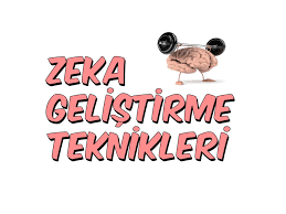 7dk Da Zeka Gelistirme Teknikleri Egitim Teknolojisi Ders Calisma Ipuclari Egitim