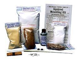 Search make your own kits. Do It Yourself Taxidermy Funny Bizarre Amazing Pictures Videos