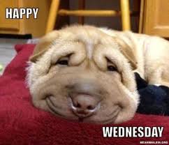 Ask any working person what their favorite day of the week and friday would be their #1 answer. Wednesday Memes Funny Happy Wednesday Images