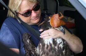 Princess Place Preserve Flagler County