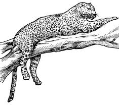 Memorial coloring pages for patriot day. Leopard Tiger On A Tree Branch Coloring Page Download Print Online Coloring Pages For Free Color Nimbus