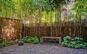Yes bamboo garden do at home. This 12 Million Brooklyn Mansion Could Set A Real Estate Record Bamboo Garden Bamboo Landscape Backyard Garden